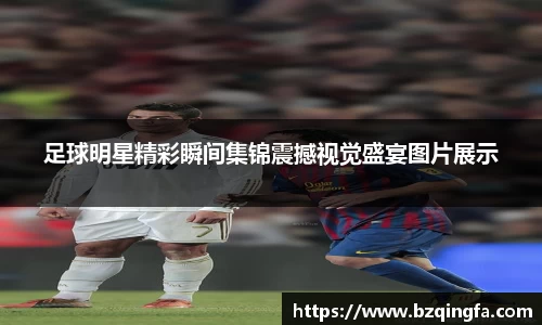 威廉希尔williamhill中文